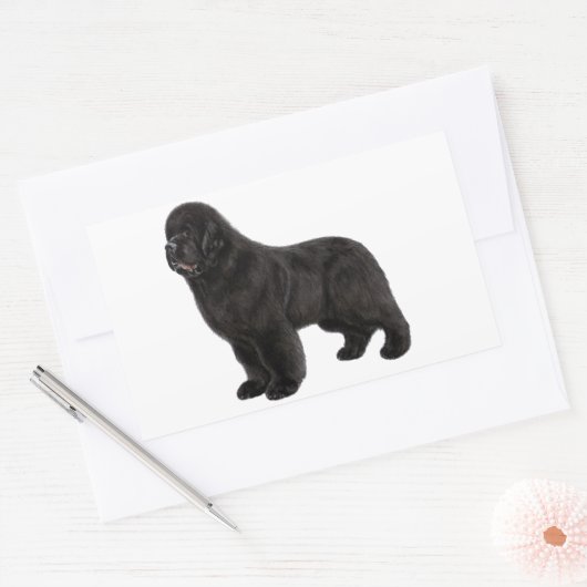 Newfoundland Hond Houtskool Tekening Rechthoekige Sticker (Envelop)