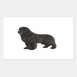 Newfoundland Hond Houtskool Tekening Rechthoekige Sticker