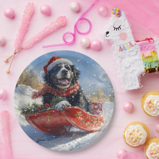 Newfoundland Hond in Sledge Laat het Sneeuw Kerstm Papieren Bordje (Feest)