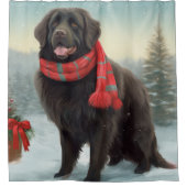 Newfoundland Hond in Sneeuw Kerstmis Douchegordijn (Voorkant)