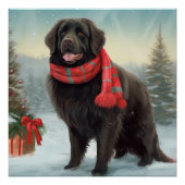 Newfoundland Hond in Sneeuw Kerstmis Perfect Poster (Voorkant)