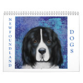 NEWFOUNDLAND HOND KALENDER (Hoes)