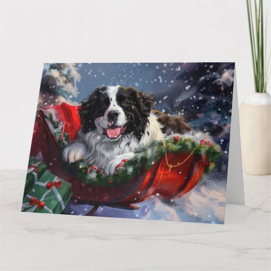 Newfoundland Hond Kerstfeest Kaart (Voorkant)