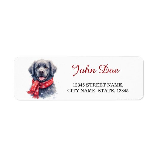 Newfoundland-hond Kerstsjaal Retouradres Etiket (Voorkant)