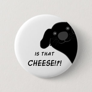 Newfoundland-hond kijkt opzij Is dat kaas Ronde Button 5,7 Cm