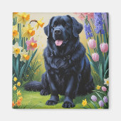 Newfoundland-hond lente bloemen schilderij magneet (Voorkant)