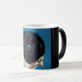 Newfoundland-hond Magische Mok (Voorkant rechts)