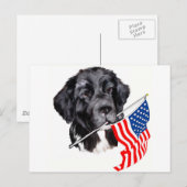 Newfoundland hond met vlag briefkaart (Voorkant / Achterkant)