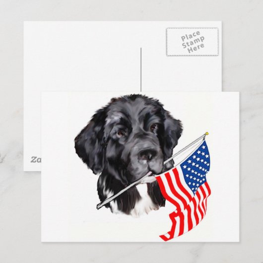 Newfoundland hond met vlag briefkaart (Voorkant / Achterkant)