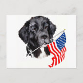 Newfoundland hond met vlag briefkaart (Voorkant)