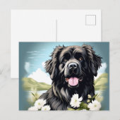 Newfoundland Hond met witte bloemen Briefkaart (Voorkant / Achterkant)