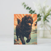 Newfoundland-hond op het strand briefkaart (Staand voorkant)