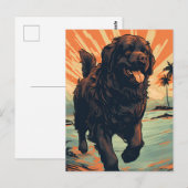 Newfoundland-hond op het strand briefkaart (Voorkant / Achterkant)