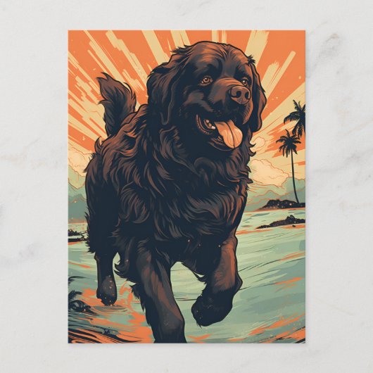 Newfoundland-hond op het strand briefkaart (Voorkant)