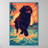 Newfoundland hond op het strand poster (Voorkant)