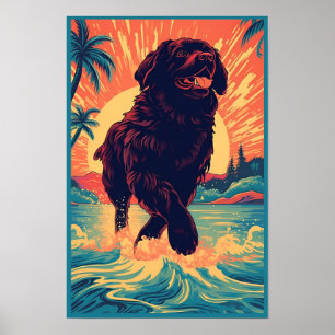 Newfoundland hond op het strand poster