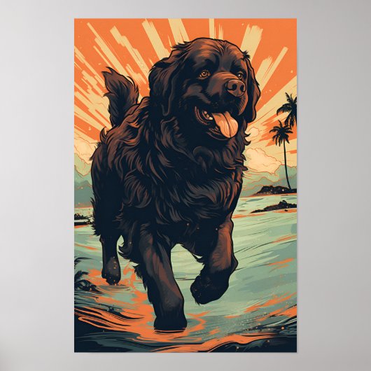 Newfoundland-hond op het strand poster (Voorkant)