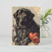 Newfoundland hond Oude Valentijnsdag  Feestdagenkaart (Staand voorkant)