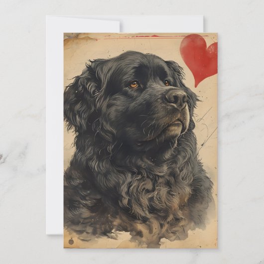 Newfoundland hond Oude Valentijnsdag  Feestdagenkaart (Voorkant)