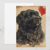 Newfoundland hond Oude Valentijnsdag  Feestdagenkaart (Voorkant / Achterkant)