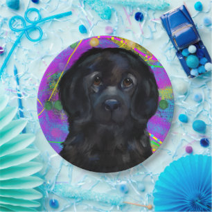 Newfoundland hond   papieren bordje