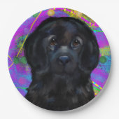 Newfoundland hond   papieren bordje (Voorkant)