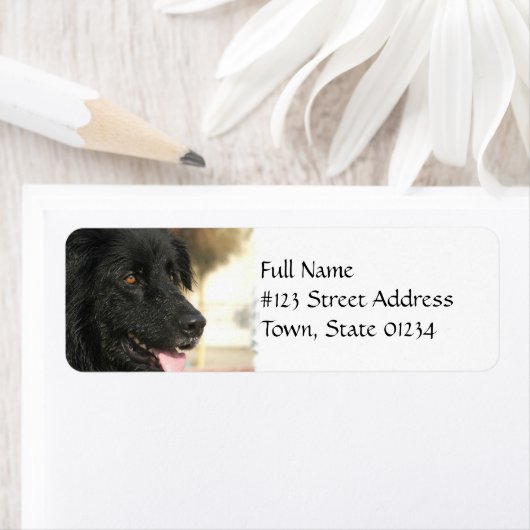 Newfoundland Hond Retouradres Label (Insitu)