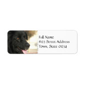 Newfoundland Hond Retouradres Label (Voorkant)