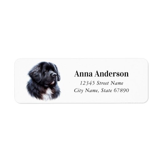 Newfoundland Hond Retouradres Labels (Voorkant)