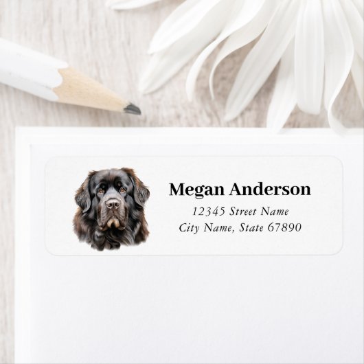 Newfoundland Hond Retouradres Labels (Insitu)
