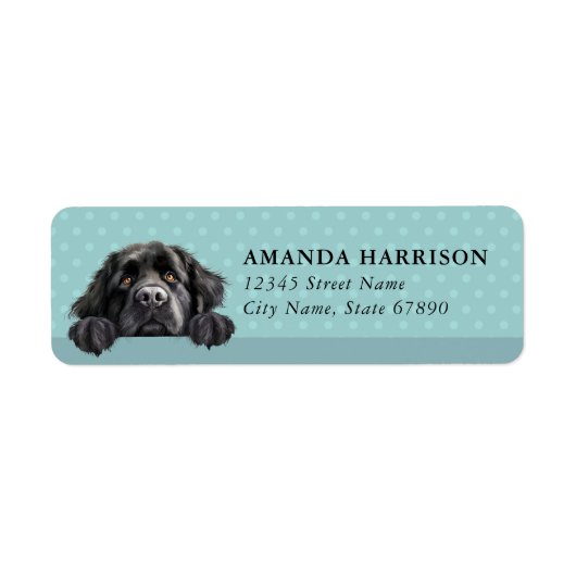 Newfoundland-hond retouradreslabels etiket (Voorkant)