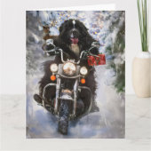Newfoundland Hond Rijden Motorfiets Kerstmis Kaart (Voorkant)