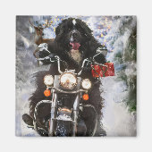 Newfoundland Hond Rijden Motorfiets Kerstmis Magneet (Voorkant)