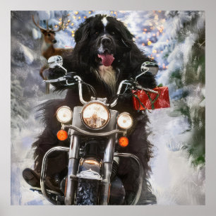 Newfoundland Hond Rijden Motorfiets Kerstmis Poster