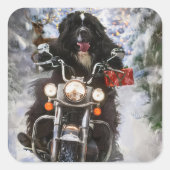 Newfoundland Hond Rijden Motorfiets Kerstmis Vierkante Sticker (Voorkant)
