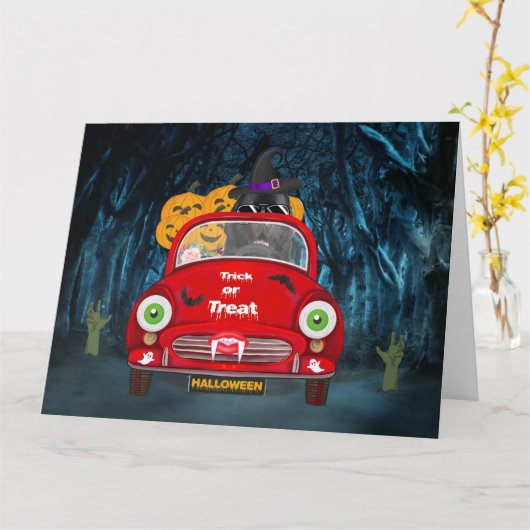 Newfoundland-hond rijdt auto griezelige Halloween Kaart (Gele Bloem)