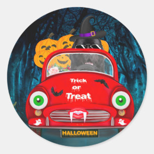 Newfoundland-hond rijdt auto griezelige Halloween Ronde Sticker