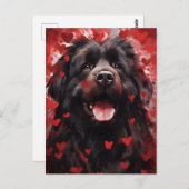 Newfoundland-hond Valentijnsdag Briefkaart (Voorkant / Achterkant)
