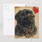 Newfoundland hond  Valentijnsdag Briefkaart (Voorkant / Achterkant)
