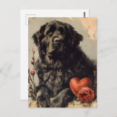Newfoundland hond  Valentijnsdag Briefkaart (Voorkant / Achterkant)