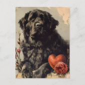 Newfoundland hond  Valentijnsdag Briefkaart (Voorkant)