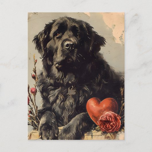 Newfoundland hond  Valentijnsdag Briefkaart (Voorkant)