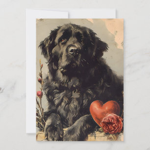 Newfoundland hond  Valentijnsdag Feestdagenkaart