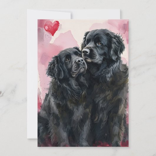Newfoundland-hond Valentijnsdag Feestdagenkaart (Voorkant)