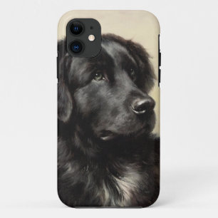 Newfoundland-hond vintage realistische verf Case-Mate iPhone case