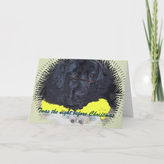 Newfoundland hond was de avond voor Kerstmis Feestdagen Kaart (Voorkant)