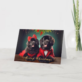 Newfoundland Honden in een Christmas Pose Kaart