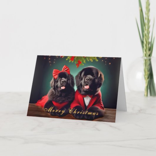 Newfoundland Honden in een Christmas Pose Kaart (Voorkant)