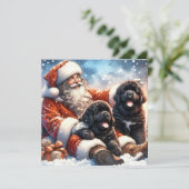 Newfoundland Honden met Kerstman Feestelijk Feestdagenkaart (Staand voorkant)