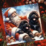 Newfoundland Honden met Kerstman Feestelijk Feestdagenkaart<br><div class="desc">stijl Kerstman met twee prachtige Newfoundland Puppy Dogs Fantasy kunst vakantie kaart. Personaliseer dit met uw eigen bericht en familienaam om naar vrienden en familie te sturen voor de feestdagen.</div>